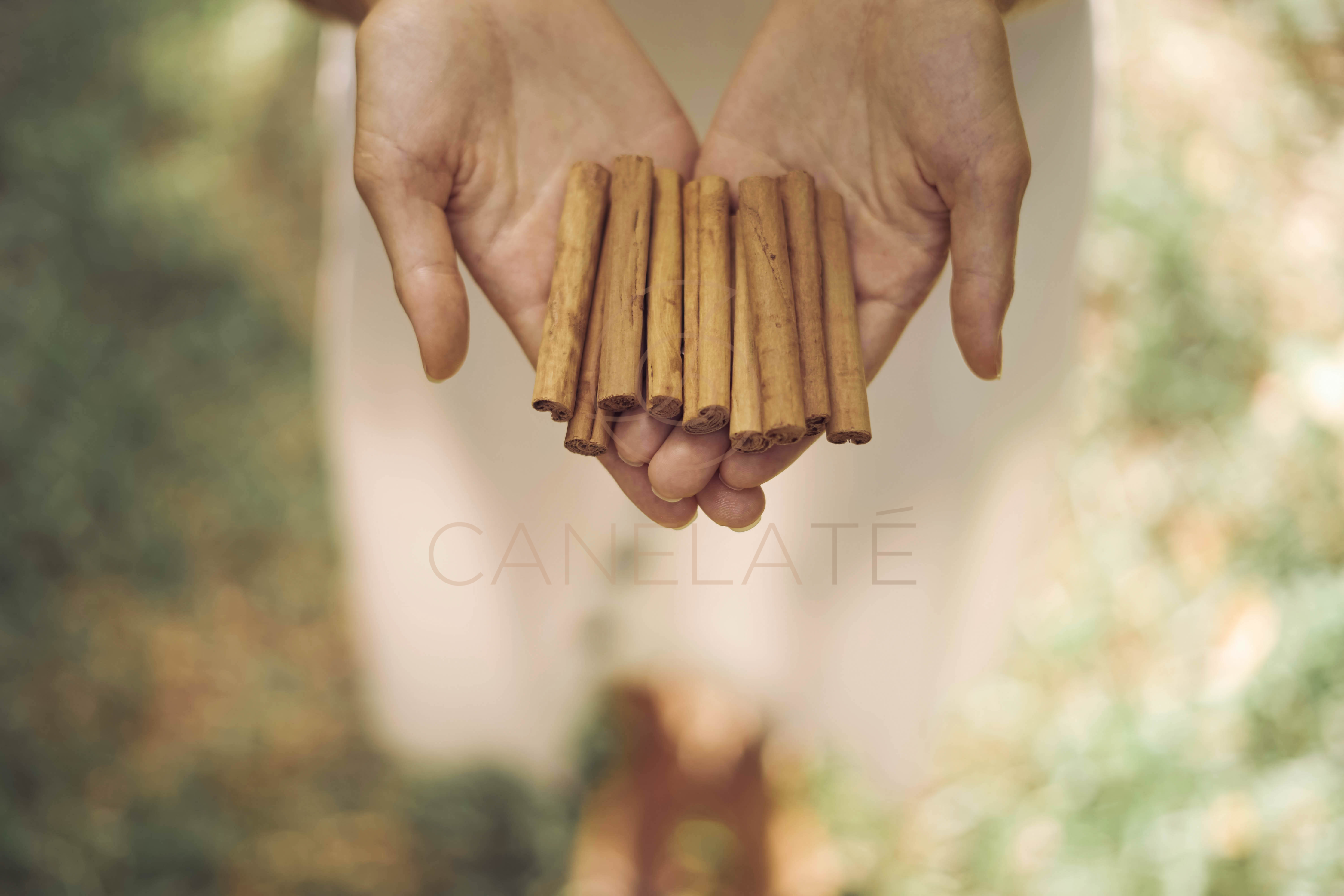 Organic Ceylon Cinnamon Sticks 50g (1.76oz)