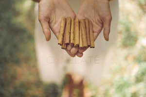 Organic Ceylon Cinnamon Sticks 50g (1.76oz)